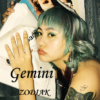 GEMINI ZODIAC - Imagen 2