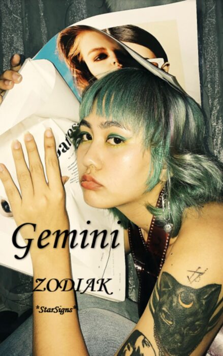 GEMINI ZODIAC SIGNS